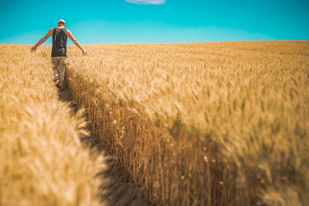 Uomo in un campo di grano