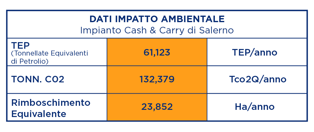 Dati Impatto Ambientale Cash&Carry di Salerno